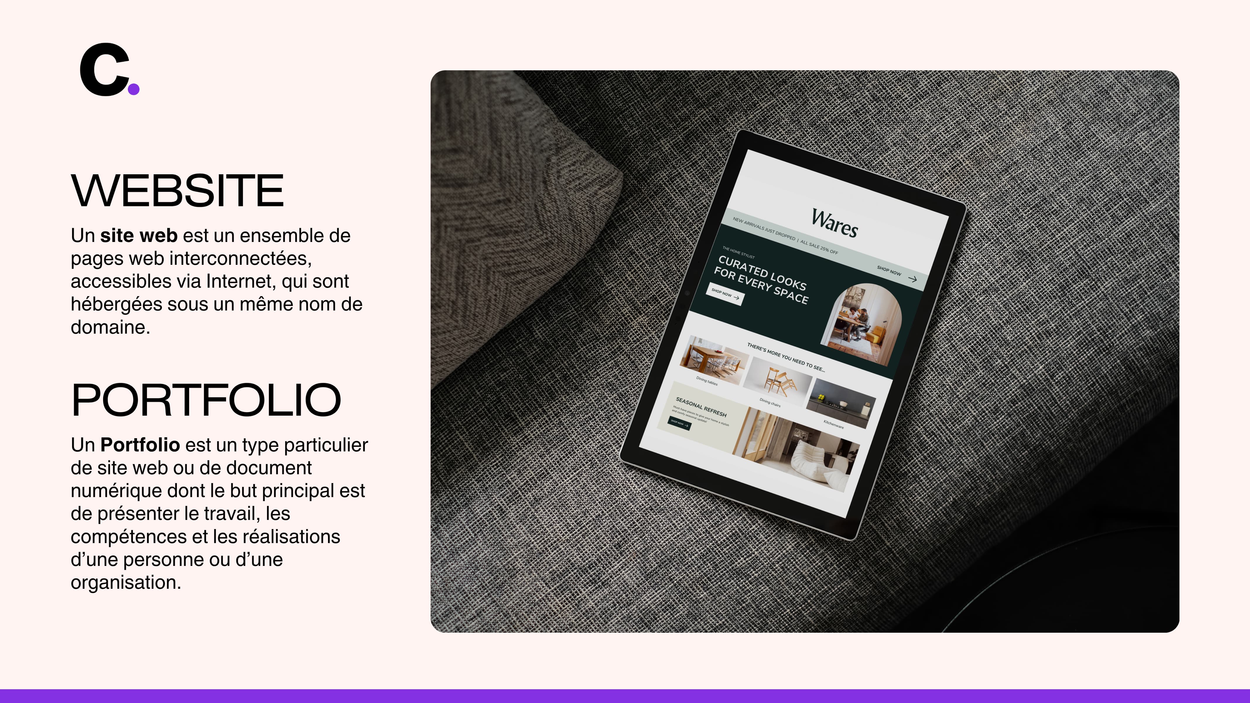 Website vs Portfolio